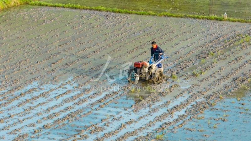 太阳能灌溉设备：如何选择适合的解决方案**
